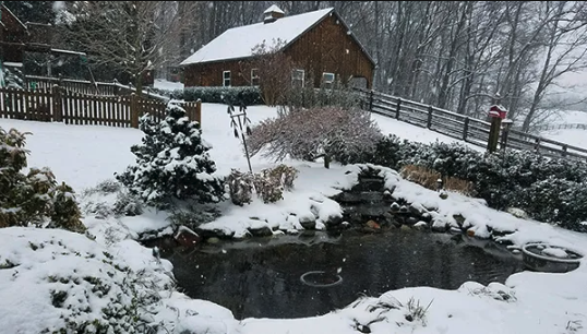 Frozen Pond